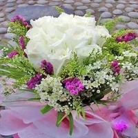 1 (5).webp