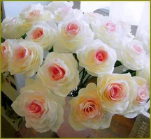 1 (7).webp