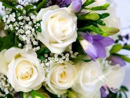 1 (14).webp
