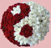 1 (18).webp