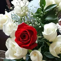 1 (32).webp