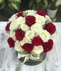 1 (40).webp