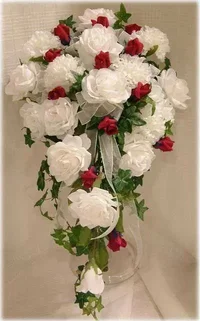 1 (52).webp