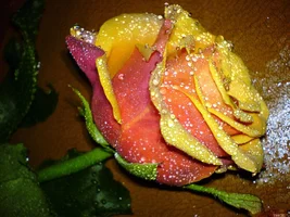 1 (10).webp