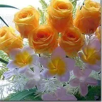 1 (16).webp