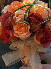 1 (20).webp
