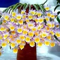 1 (22).webp
