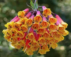 1 (23).webp