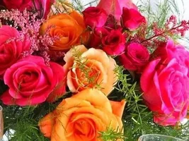 1 (25).webp