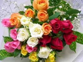 1 (33).webp