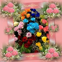 1 (34).webp
