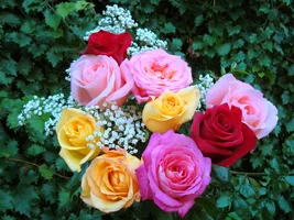 1 (35).webp