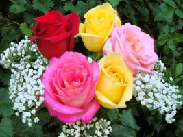 1 (36).webp