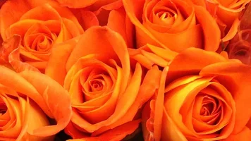 1 (42).webp