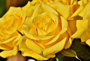 1 (49).webp