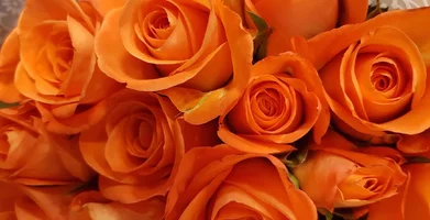 1 (51).webp