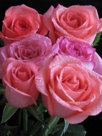 1 (66).jpg