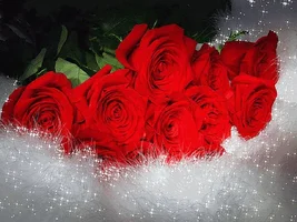 1 (31).webp