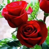 1 (36).webp