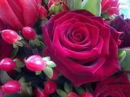 1 (60).webp