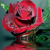 1 (79).webp