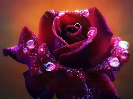 1 (98).webp