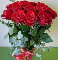 1 (102).webp