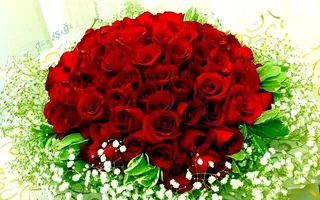 1 (103).webp