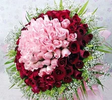 1 (104).webp