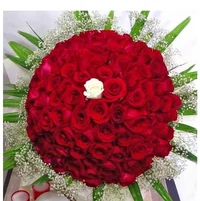 1 (105).webp