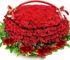 1 (106).webp
