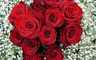 1 (109).webp