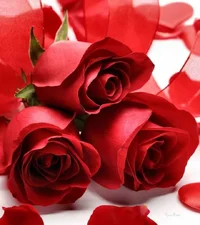 1 (110).webp
