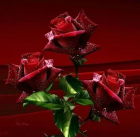 1 (115).webp