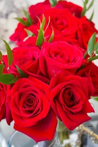 1 (116).webp