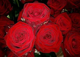 1 (117).webp