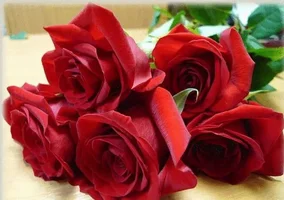 1 (118).webp
