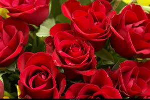 1 (120).webp
