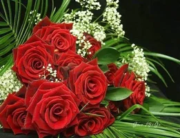 1 (121).webp