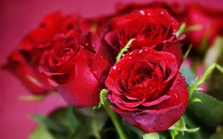 1 (122).webp