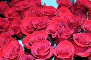 1 (124).webp