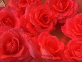 1 (125).webp