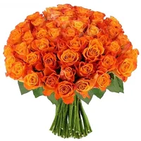 1 (14).webp