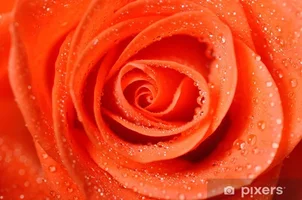 1 (22).webp