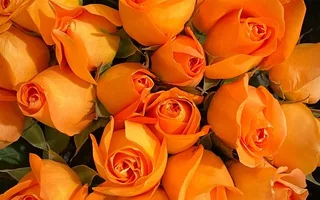 1 (23).webp