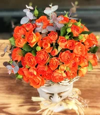 1 (55).webp