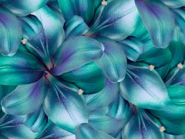 1 (60).jpg