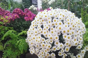 1 (6).webp