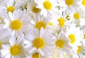 1 (10).webp