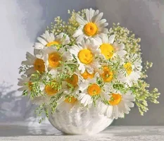 1 (13).webp